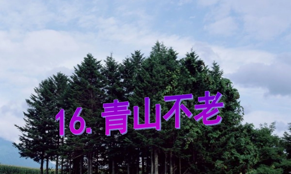 六年级语文上册第四组16青山不老第一课时课件