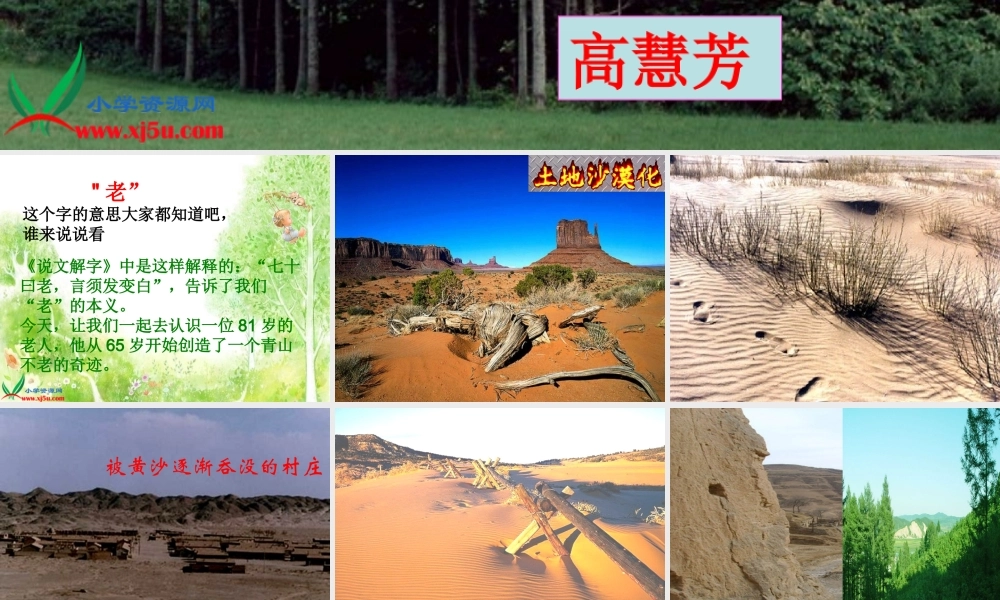 六年级语文上册第四组16青山不老第一课时课件