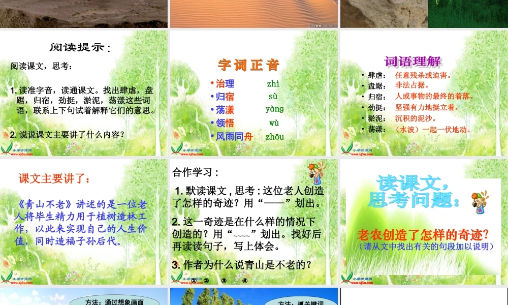 六年级语文上册第四组16青山不老第一课时课件