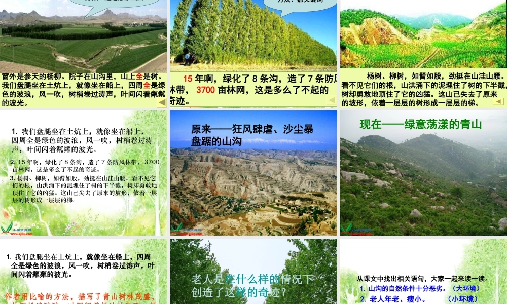 六年级语文上册第四组16青山不老第一课时课件