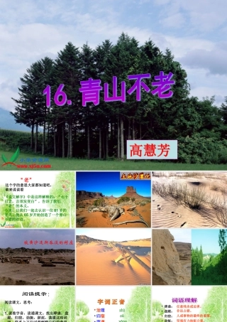 六年级语文上册第四组16青山不老第一课时课件