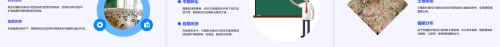 石榴斜长角闪片岩资料课件