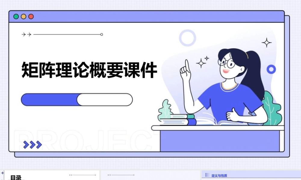 矩阵理论概要课件