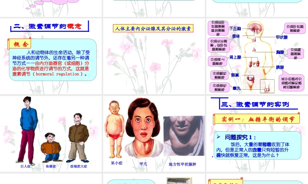 《通过激素的调节》