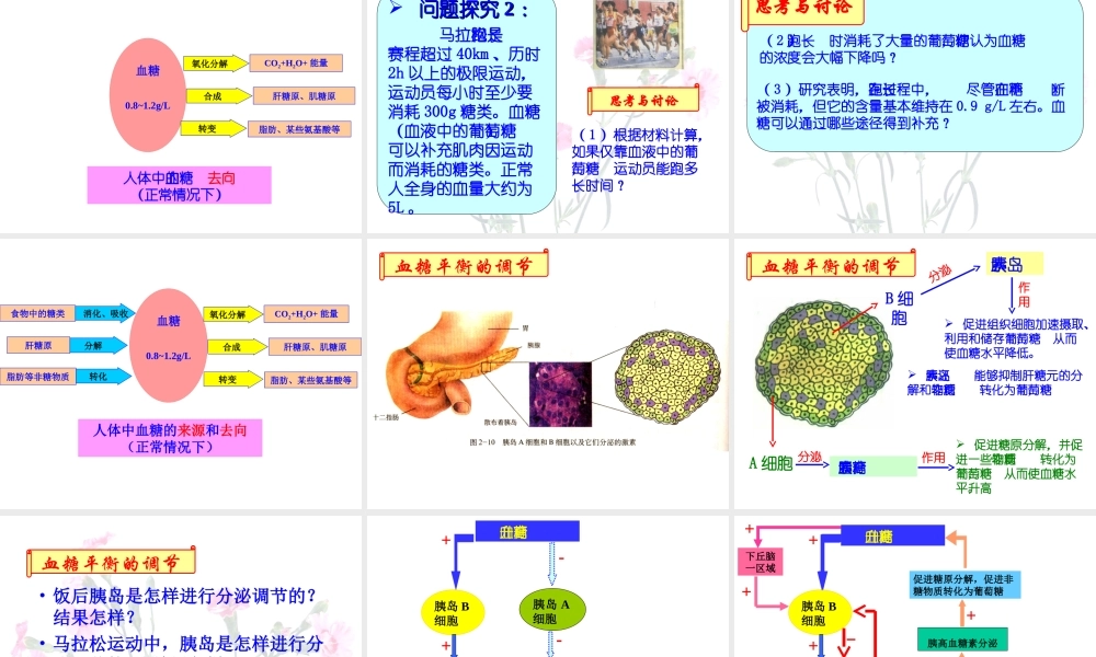 《通过激素的调节》