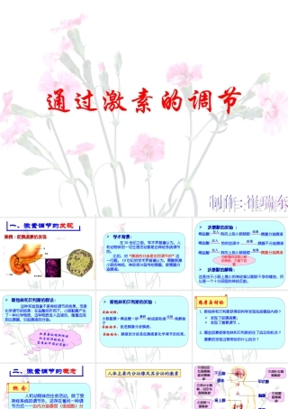 《通过激素的调节》