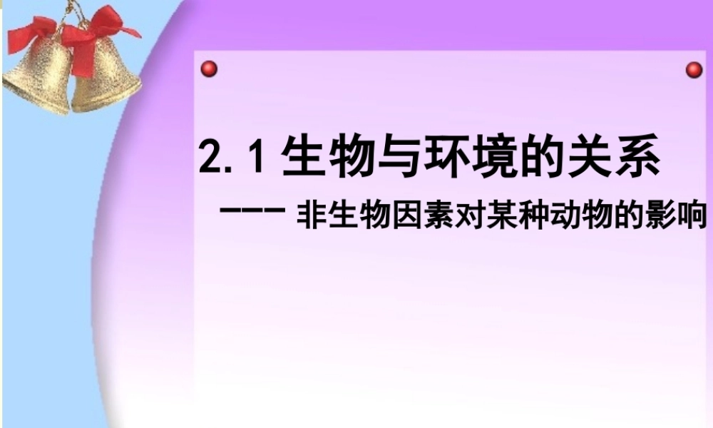 科学探究-鼠妇试验
