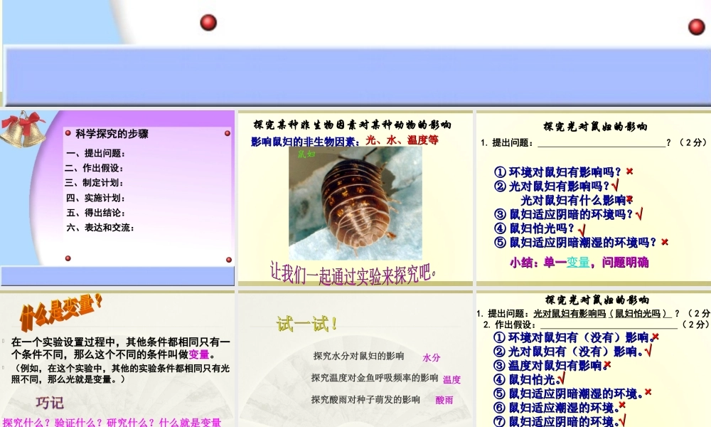 科学探究-鼠妇试验
