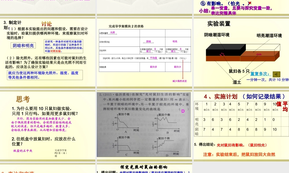 科学探究-鼠妇试验