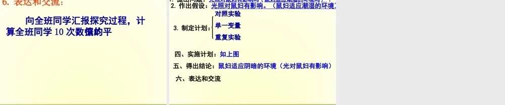 科学探究-鼠妇试验