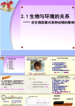 科学探究-鼠妇试验