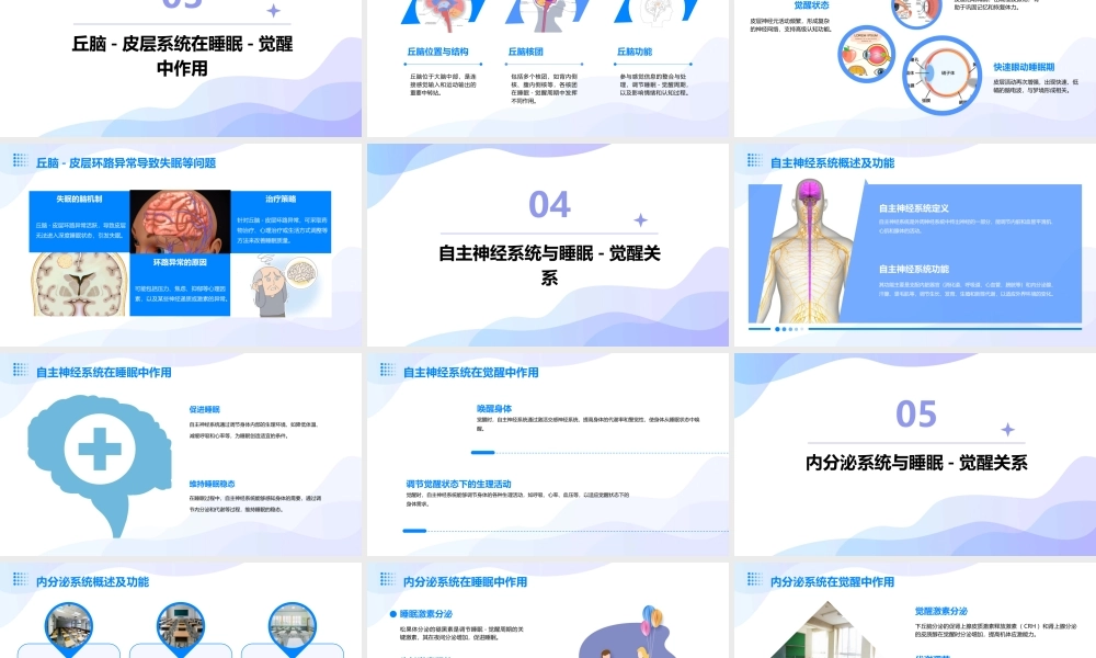 睡眠与觉醒的脑机制分解课件