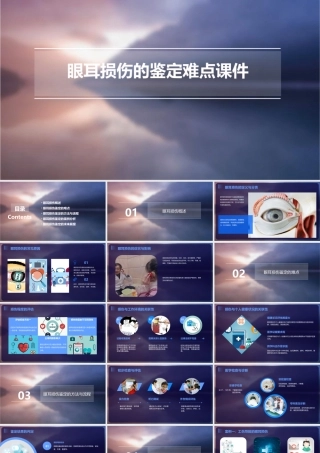 眼耳损伤的鉴定难点课件