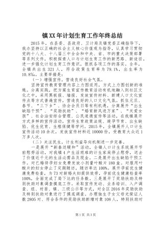 镇XX年计划生育工作年终总结