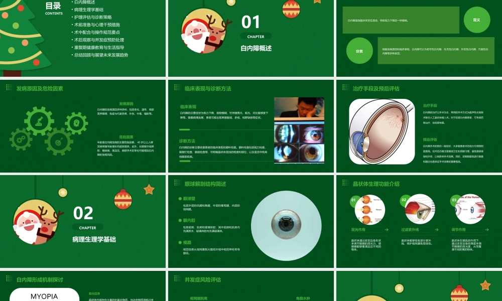眼科病理学之白内障病理护理课件
