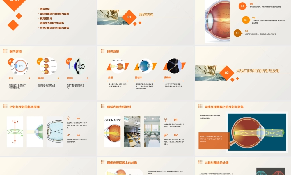 眼球光学的基本概课件