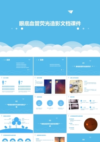 眼底血管荧光造影文档课件