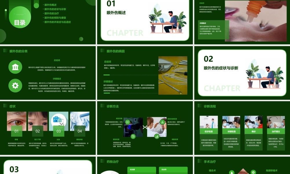 眼外伤诊疗常规课件