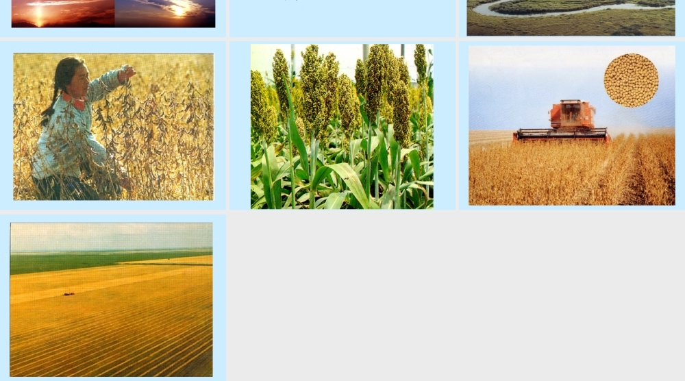 《北大荒的秋天》3