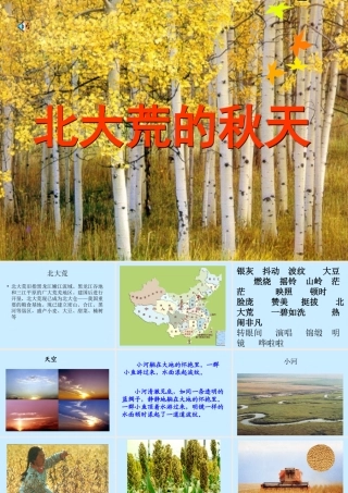 《北大荒的秋天》3