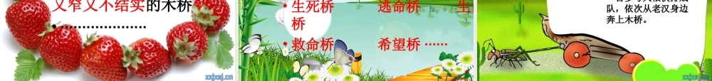 《桥》公开课PPT课件