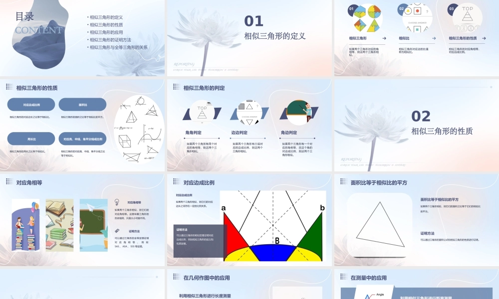 相似三角形的性质