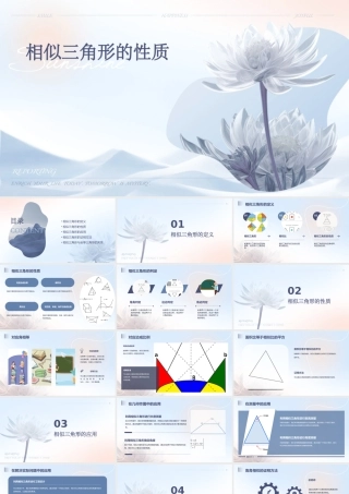 相似三角形的性质
