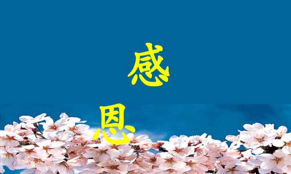 小学生感恩主题班会课件