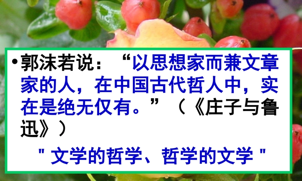 《逍遥游》教学课件