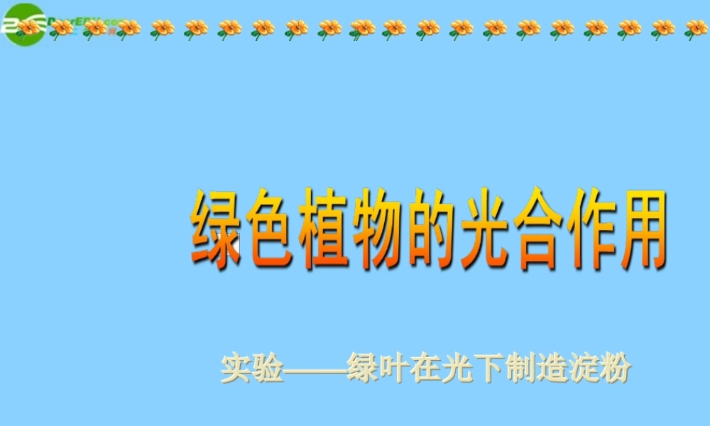七年级生物上册 绿色植物的光合作用课件 济南版 课件