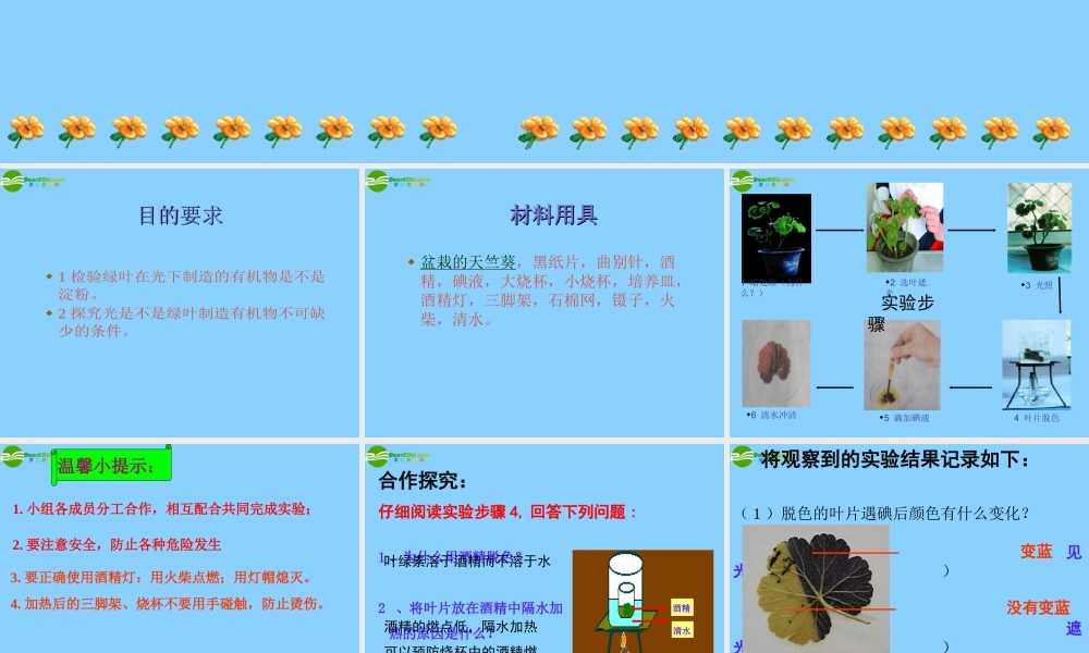 七年级生物上册 绿色植物的光合作用课件 济南版 课件