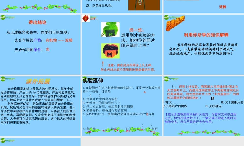 七年级生物上册 绿色植物的光合作用课件 济南版 课件