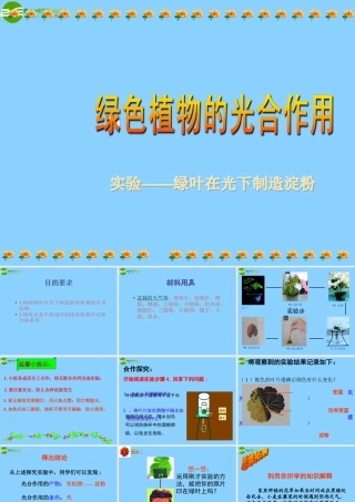 七年级生物上册 绿色植物的光合作用课件 济南版 课件