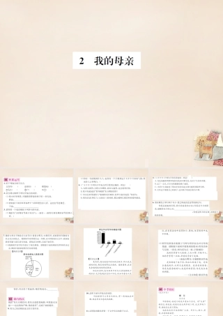 八年级语文下册 第1单元 2(我的母亲)练习课件 (新版)新人教版 课件