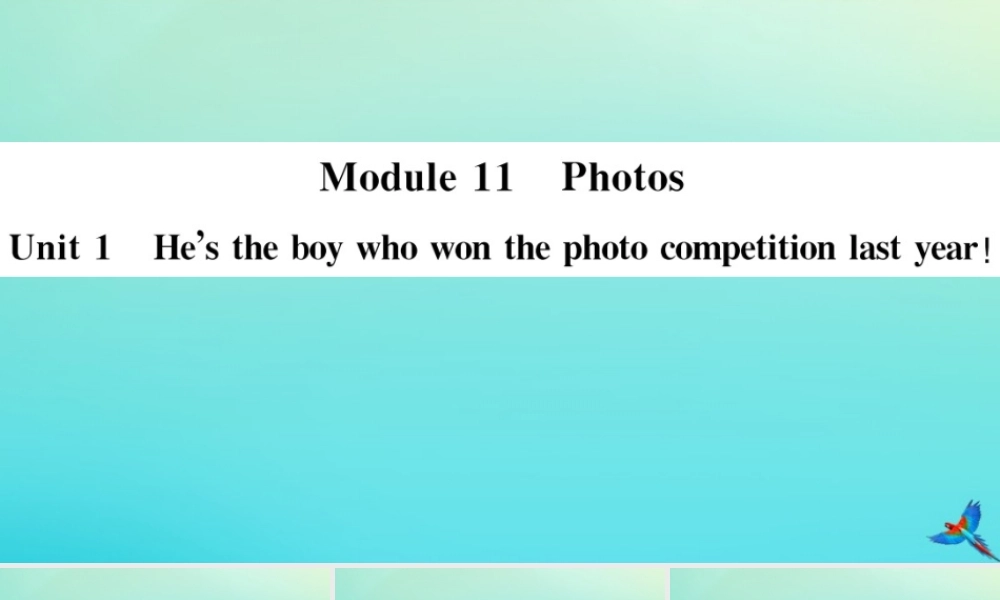 九年级英语上册 Module 11 Photos Unit 1 He s the boy who won the photo competition last year(小册子)习题课件 (新版)外研版 课件