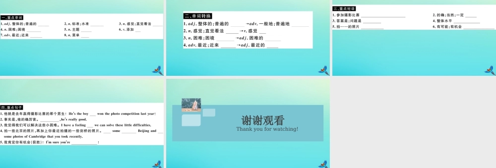 九年级英语上册 Module 11 Photos Unit 1 He s the boy who won the photo competition last year(小册子)习题课件 (新版)外研版 课件