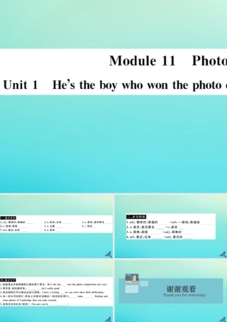 九年级英语上册 Module 11 Photos Unit 1 He s the boy who won the photo competition last year(小册子)习题课件 (新版)外研版 课件