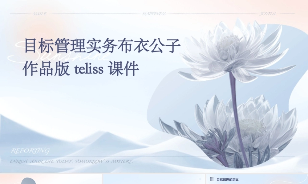 目标管理实务布衣公子作品版teliss课件
