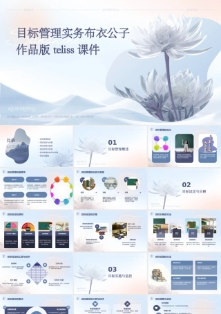 目标管理实务布衣公子作品版teliss课件