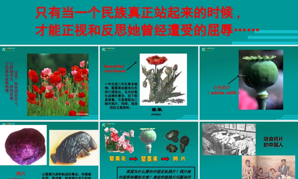 高一历史第十课