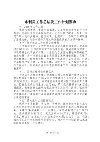 水利局工作总结及工作计划要点