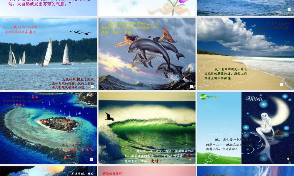 七年级语文上册 (蔚蓝的王国)优秀教学课件 苏教版 课件