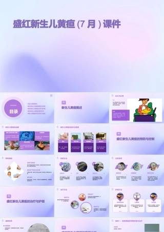 盛红新生儿黄疸(7月)课件