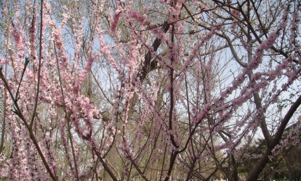 《四季》课件 (2)