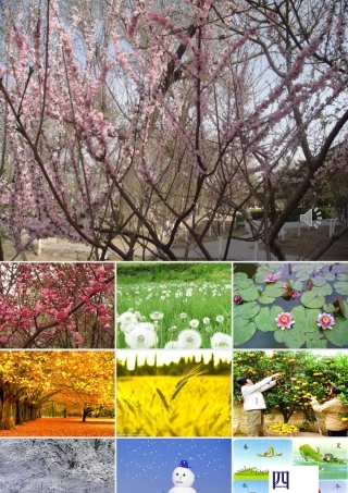 《四季》课件 (2)