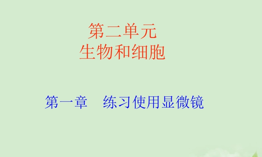 七年级生物上册 使用显微镜课件 人教新课标版 课件
