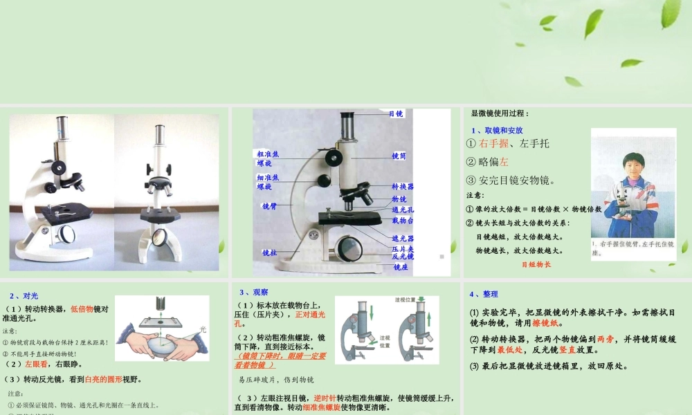 七年级生物上册 使用显微镜课件 人教新课标版 课件