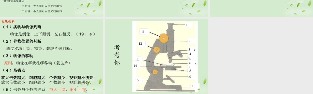 七年级生物上册 使用显微镜课件 人教新课标版 课件