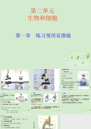 七年级生物上册 使用显微镜课件 人教新课标版 课件