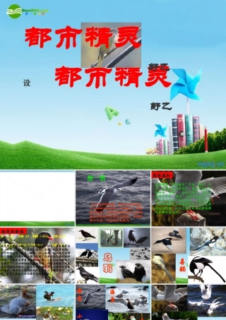 八年级语文上册 (都市精灵)教学课件 苏教版 课件